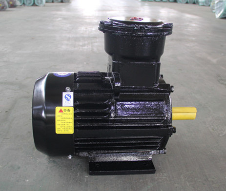 IIBT4 explosion-proof motor fo